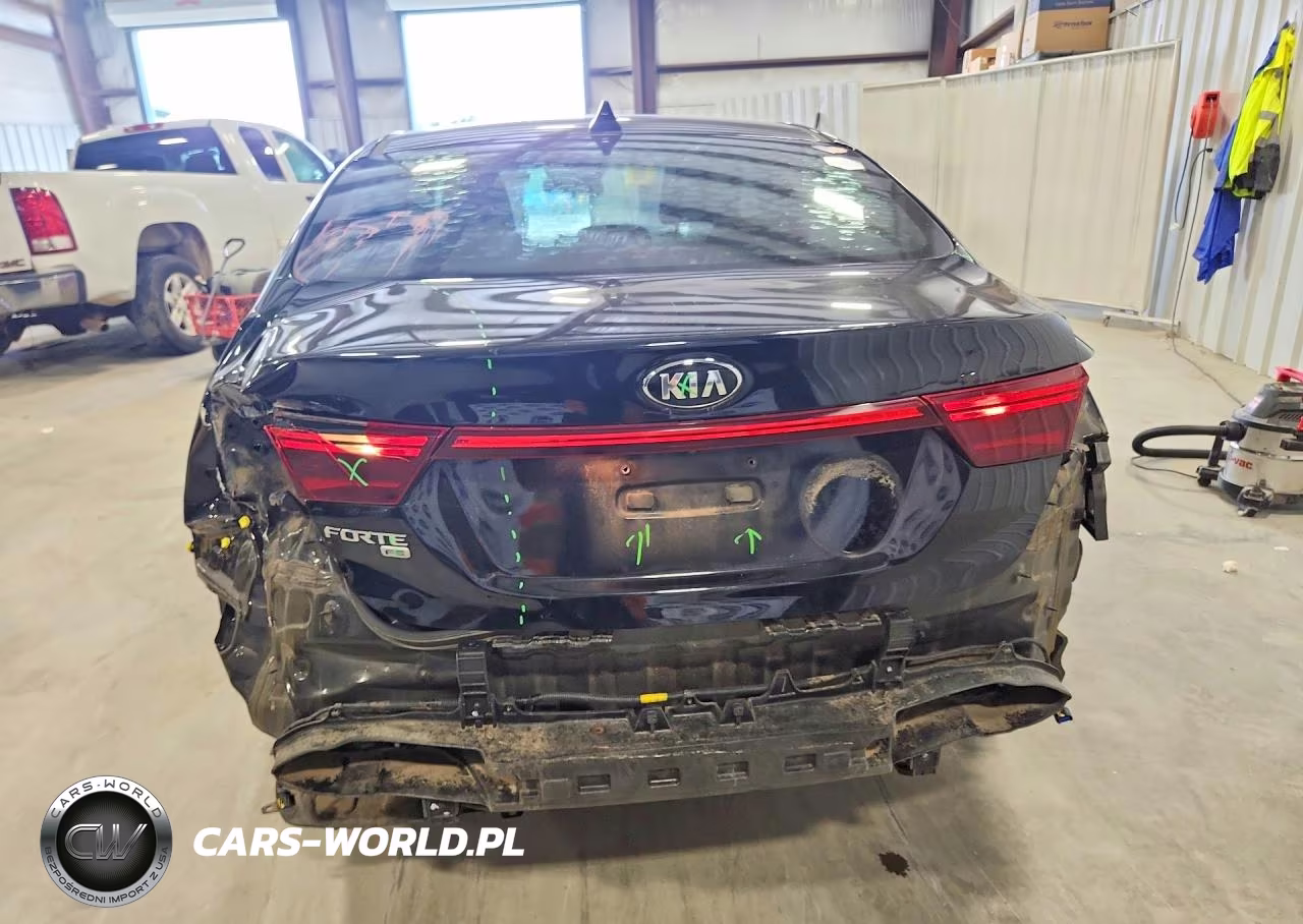 2020 Kia Forte Fe VIN:3KPF24ADXLE207522 - 6