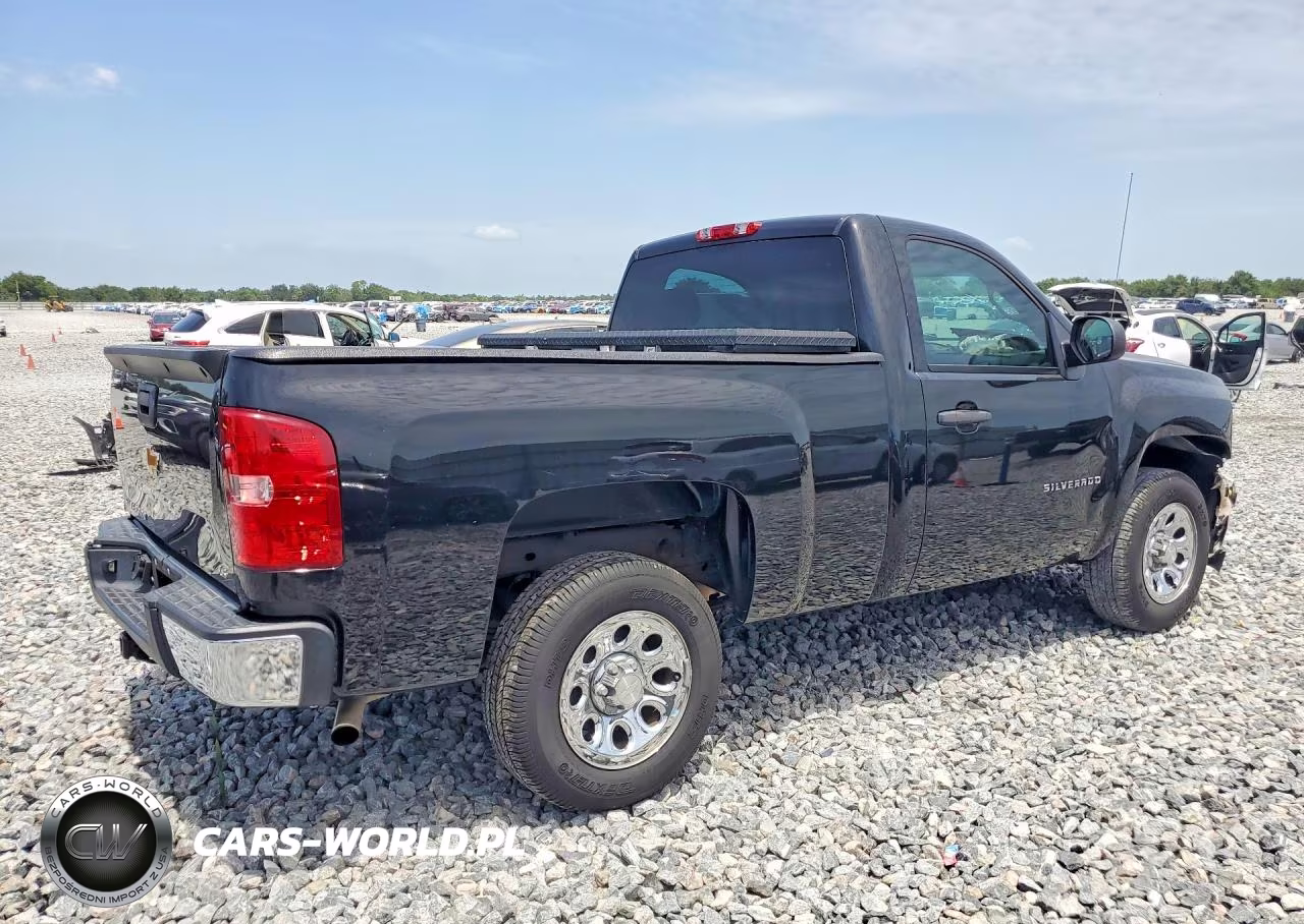 2013 Chevrolet Silverado C1500 VIN:1GCNCPEX9DZ297993 - 3