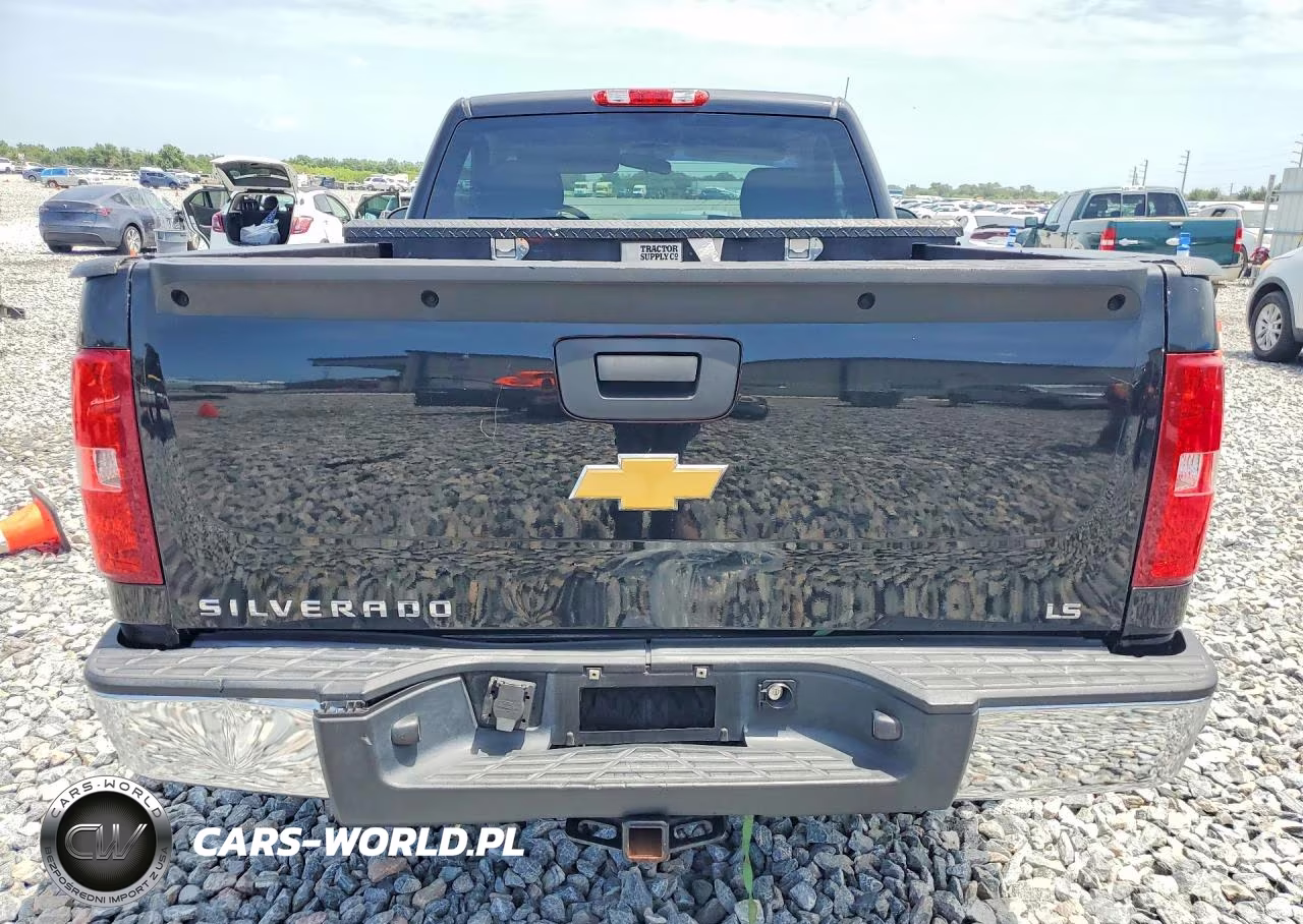 2013 Chevrolet Silverado C1500 VIN:1GCNCPEX9DZ297993 - 6