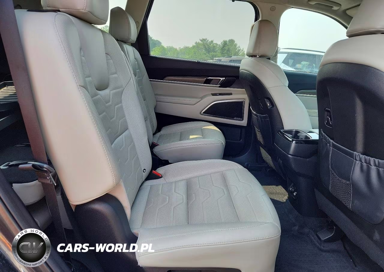 2020 Kia Telluride Sx VIN:5XYP5DHC1LG049471 - 11