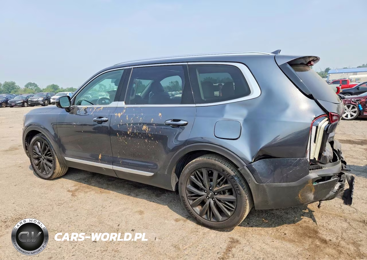 2020 Kia Telluride Sx VIN:5XYP5DHC1LG049471 - 2