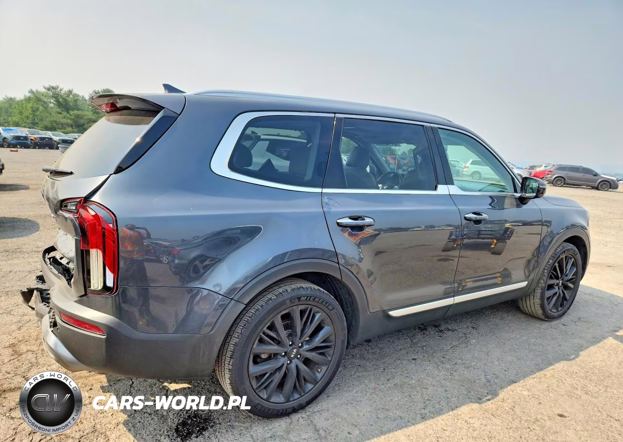 2020 Kia Telluride Sx VIN:5XYP5DHC1LG049471 - 3