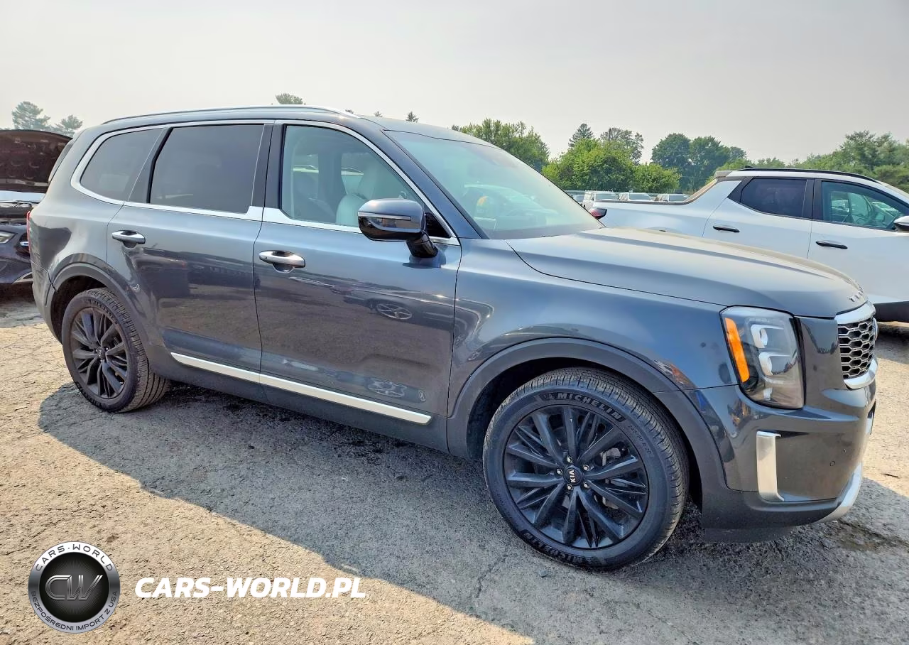 2020 Kia Telluride Sx VIN:5XYP5DHC1LG049471 - 4