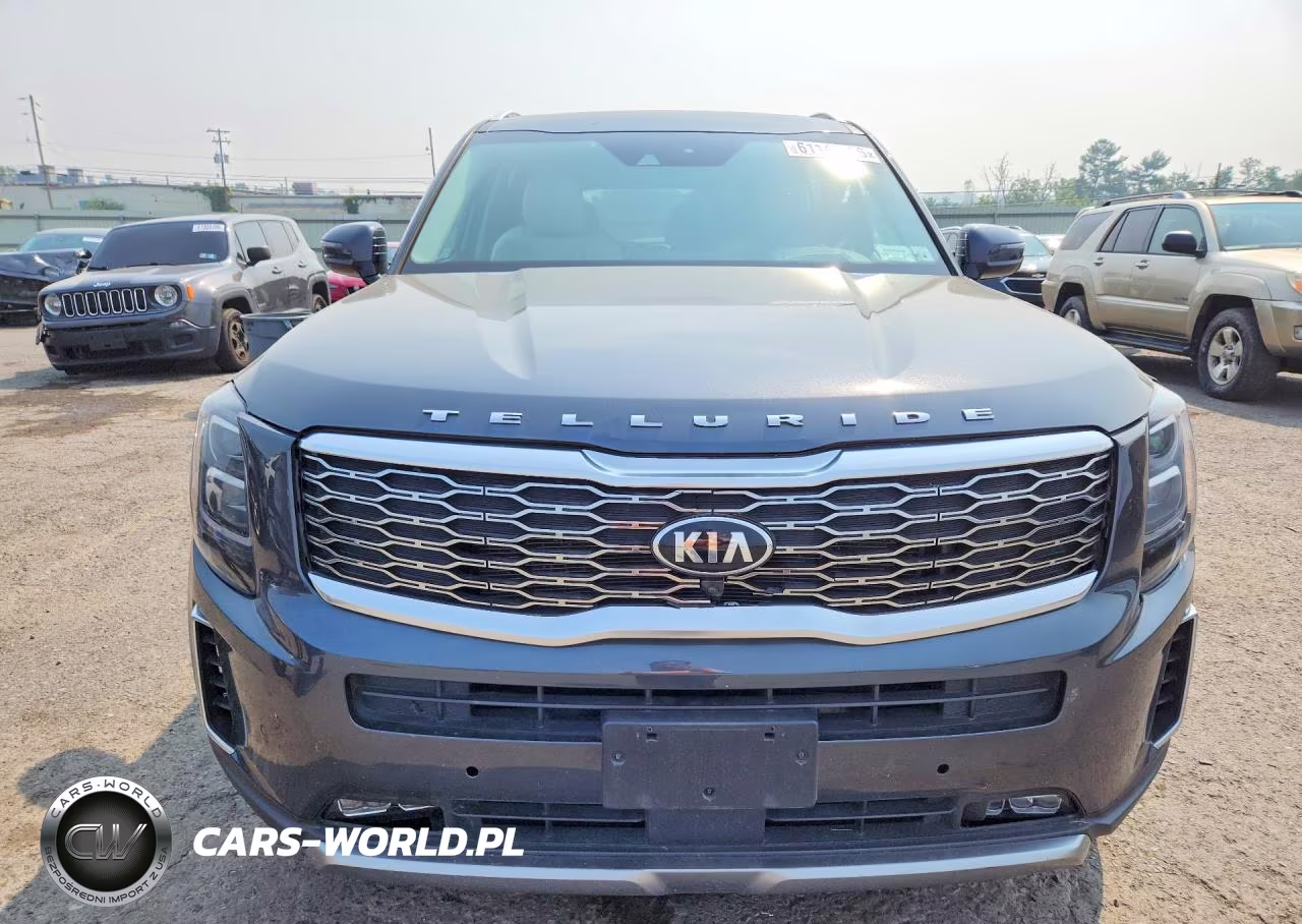 2020 Kia Telluride Sx VIN:5XYP5DHC1LG049471 - 5