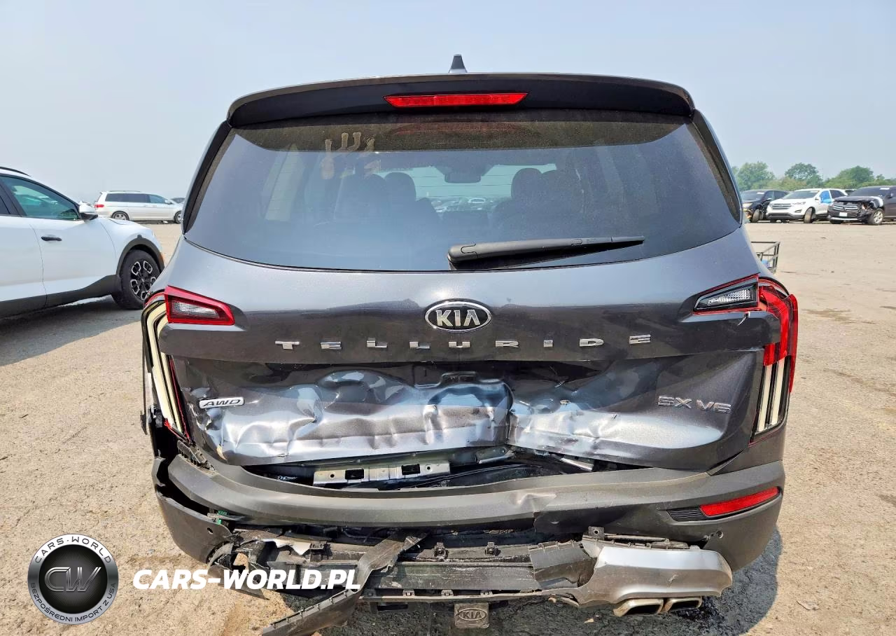 2020 Kia Telluride Sx VIN:5XYP5DHC1LG049471 - 6