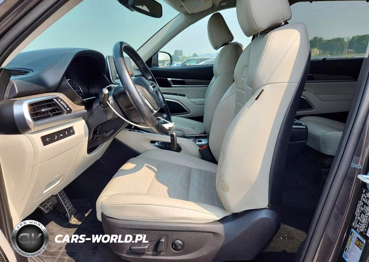 2020 Kia Telluride Sx VIN:5XYP5DHC1LG049471 - 7