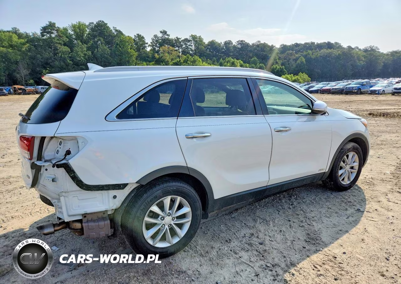 2017 Kia Sorento Lx VIN:5XYPGDA3XHG321334 - 3