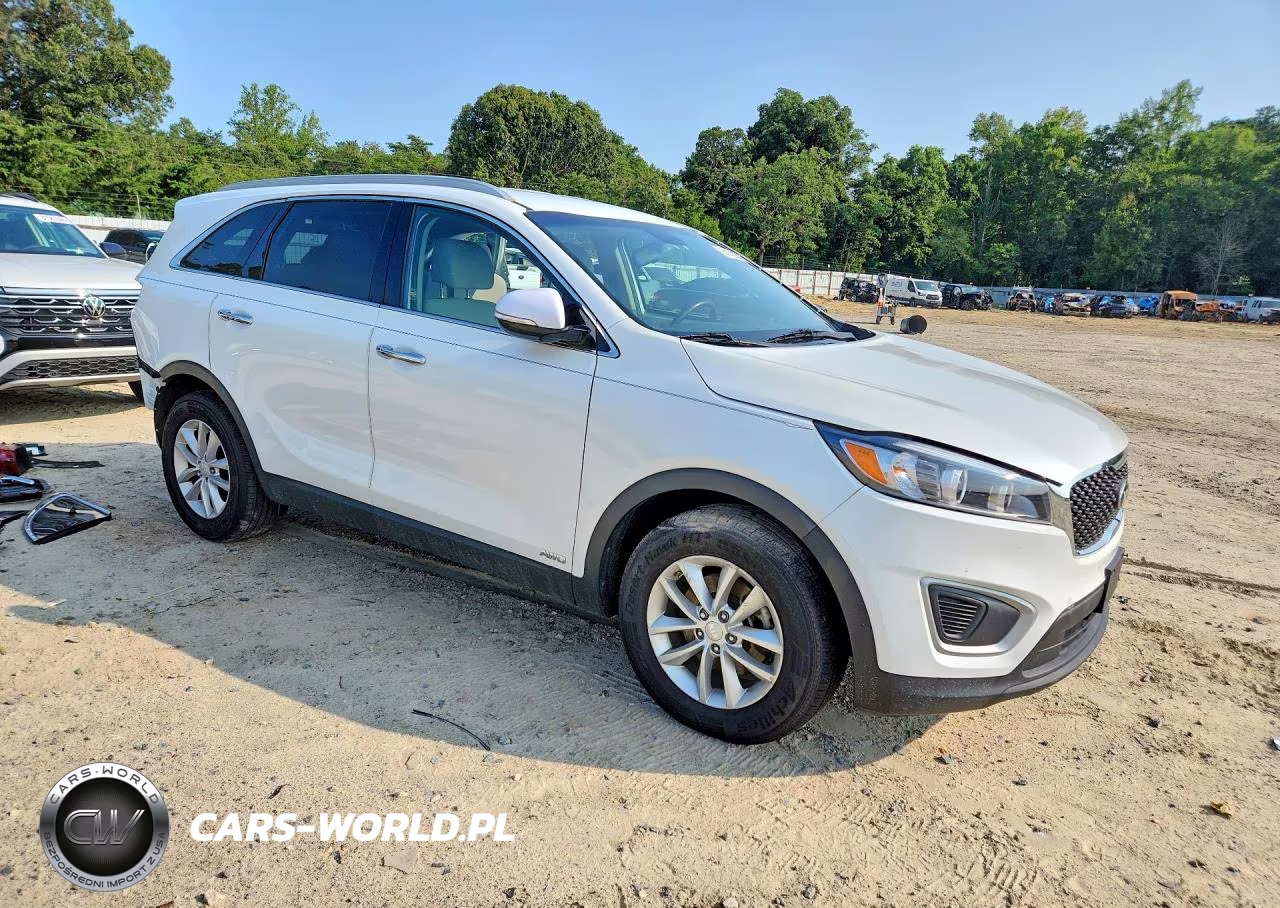 2017 Kia Sorento Lx VIN:5XYPGDA3XHG321334 - 4