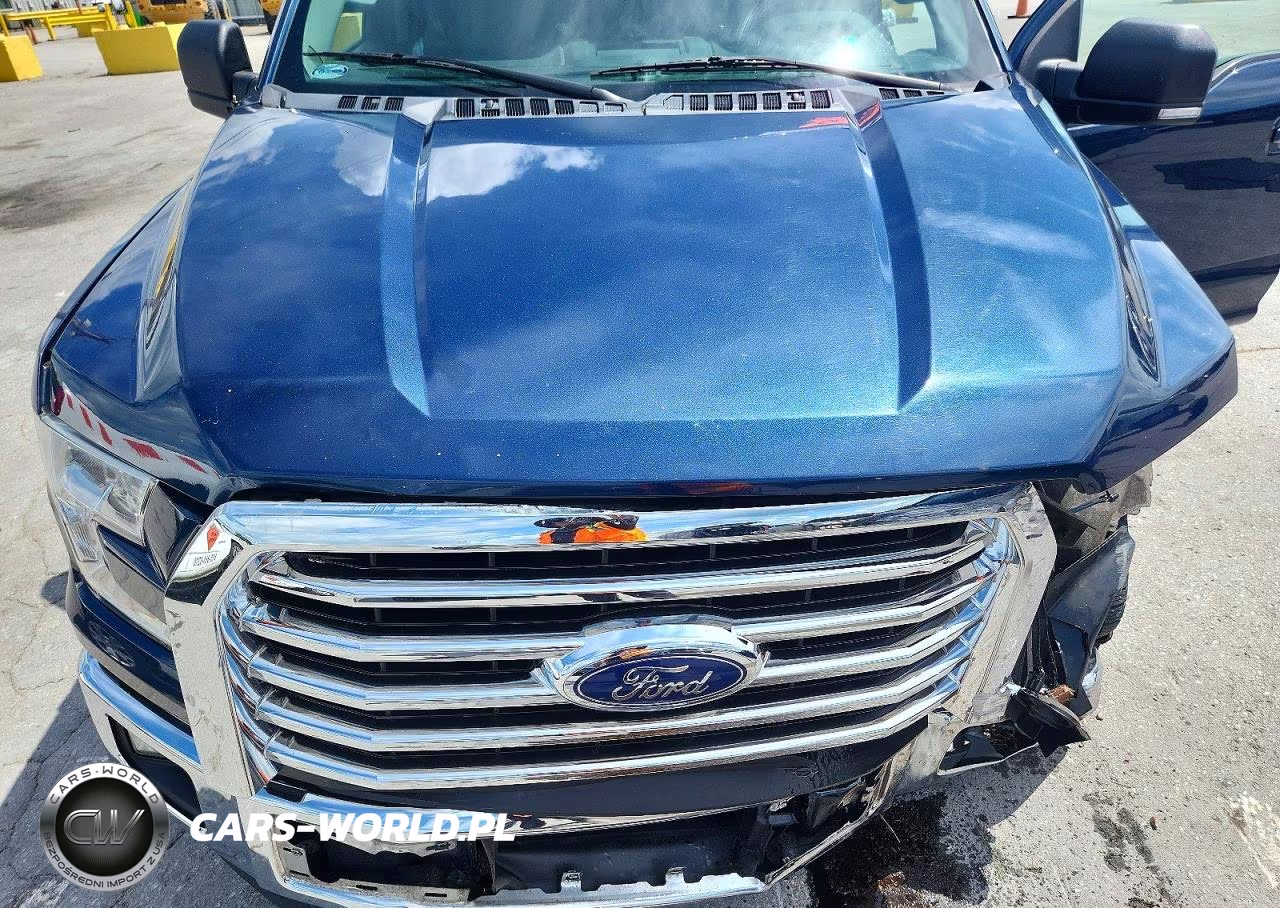 2015 Ford F150 Supercrew VIN:1FTEW1EPXFKE27036 - 11