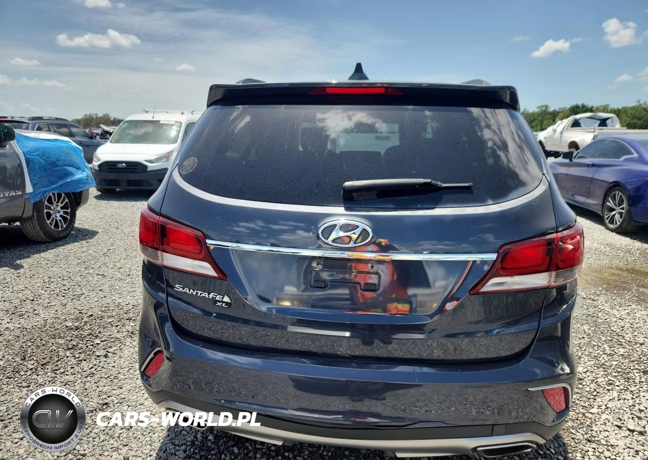 2019 Hyundai Santa Fe Xl Se VIN:KM8SN4HF4KU300478 - 6