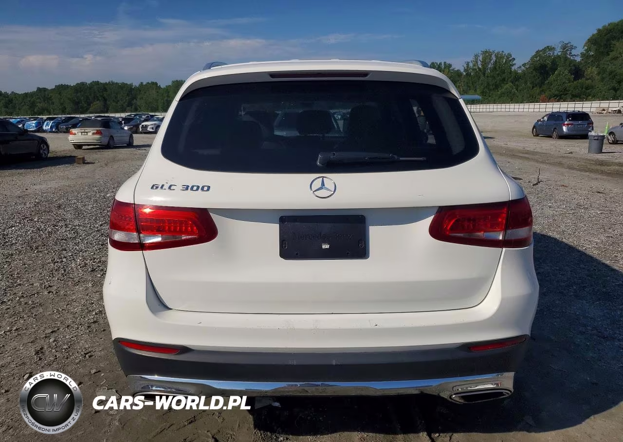 2016 Mercedes-Benz Glc 300 VIN:WDC0G4JB3GF035054 - 6