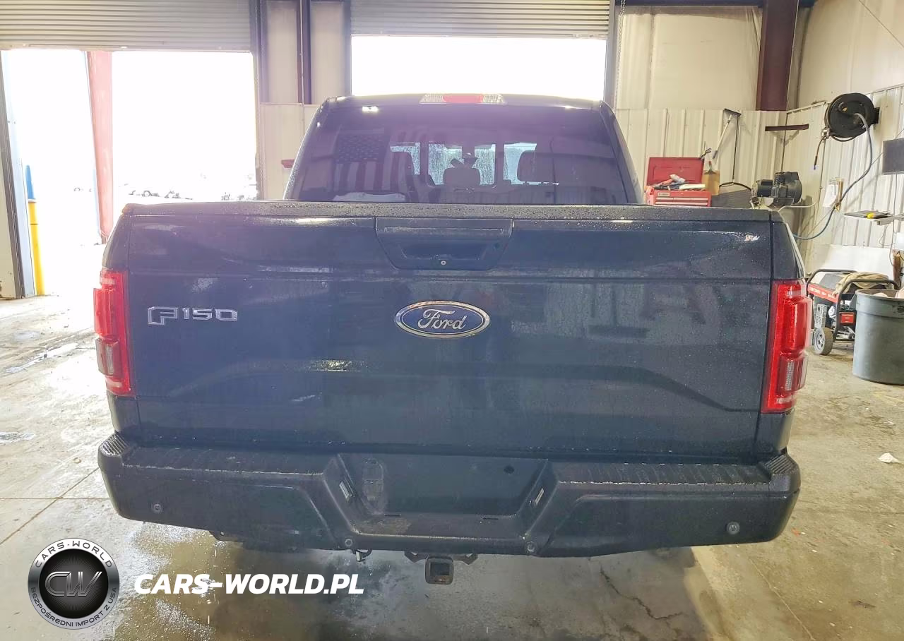 2015 Ford F150 Supercrew VIN:1FTEW1EG8FFA64292 - 6