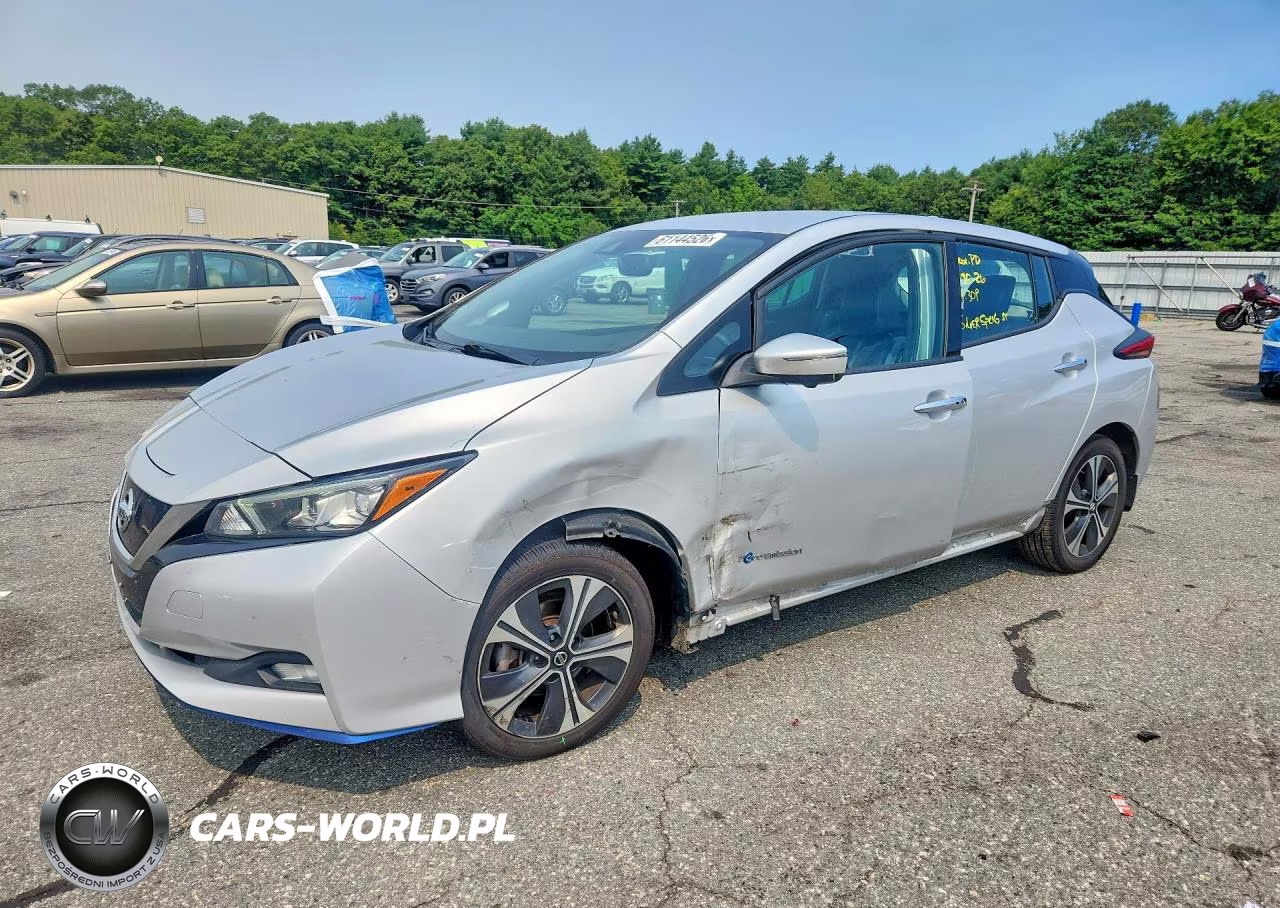 2019 Nissan Leaf Sl Plus