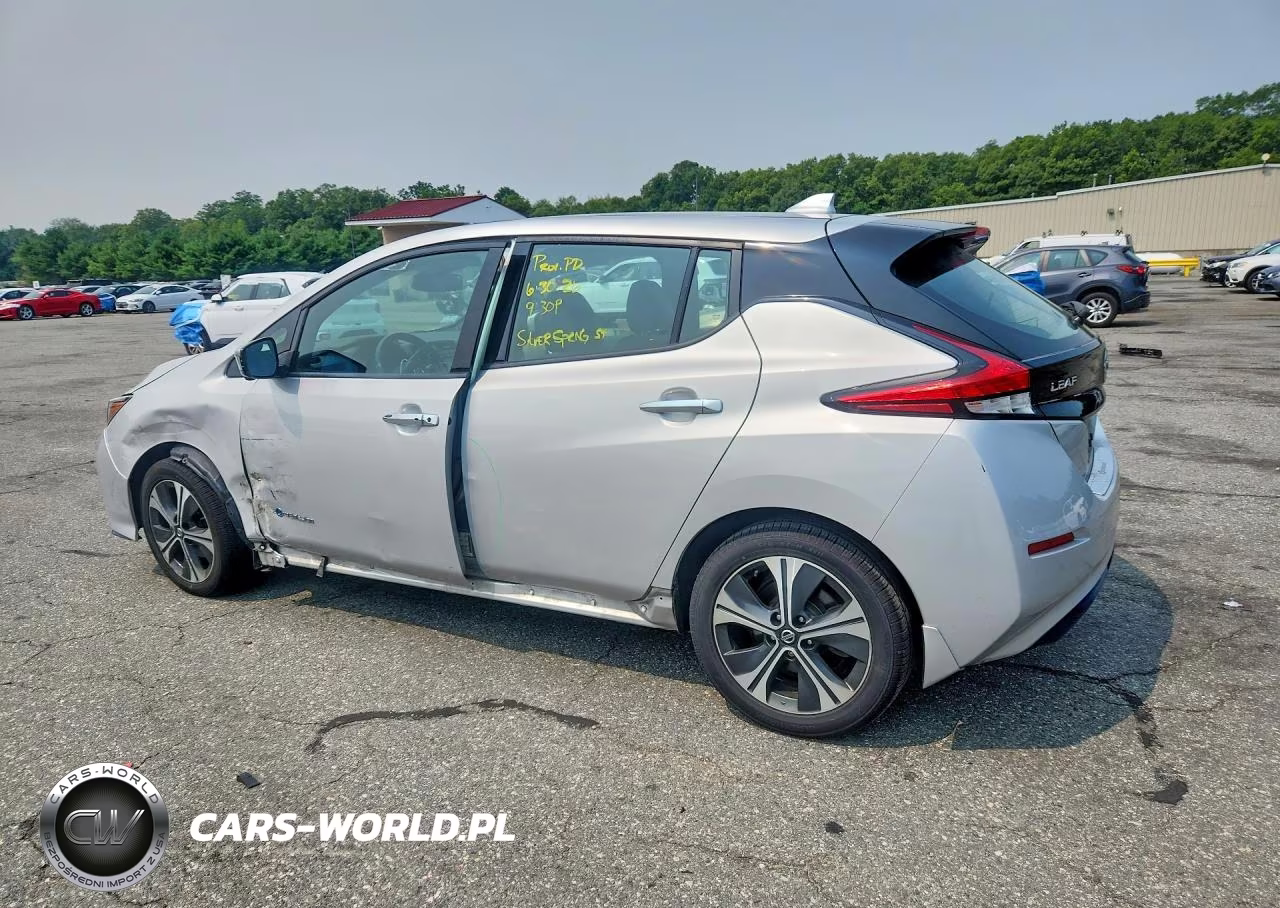 2019 Nissan Leaf Sl Plus VIN:1N4BZ1CP8KC320817 - 2