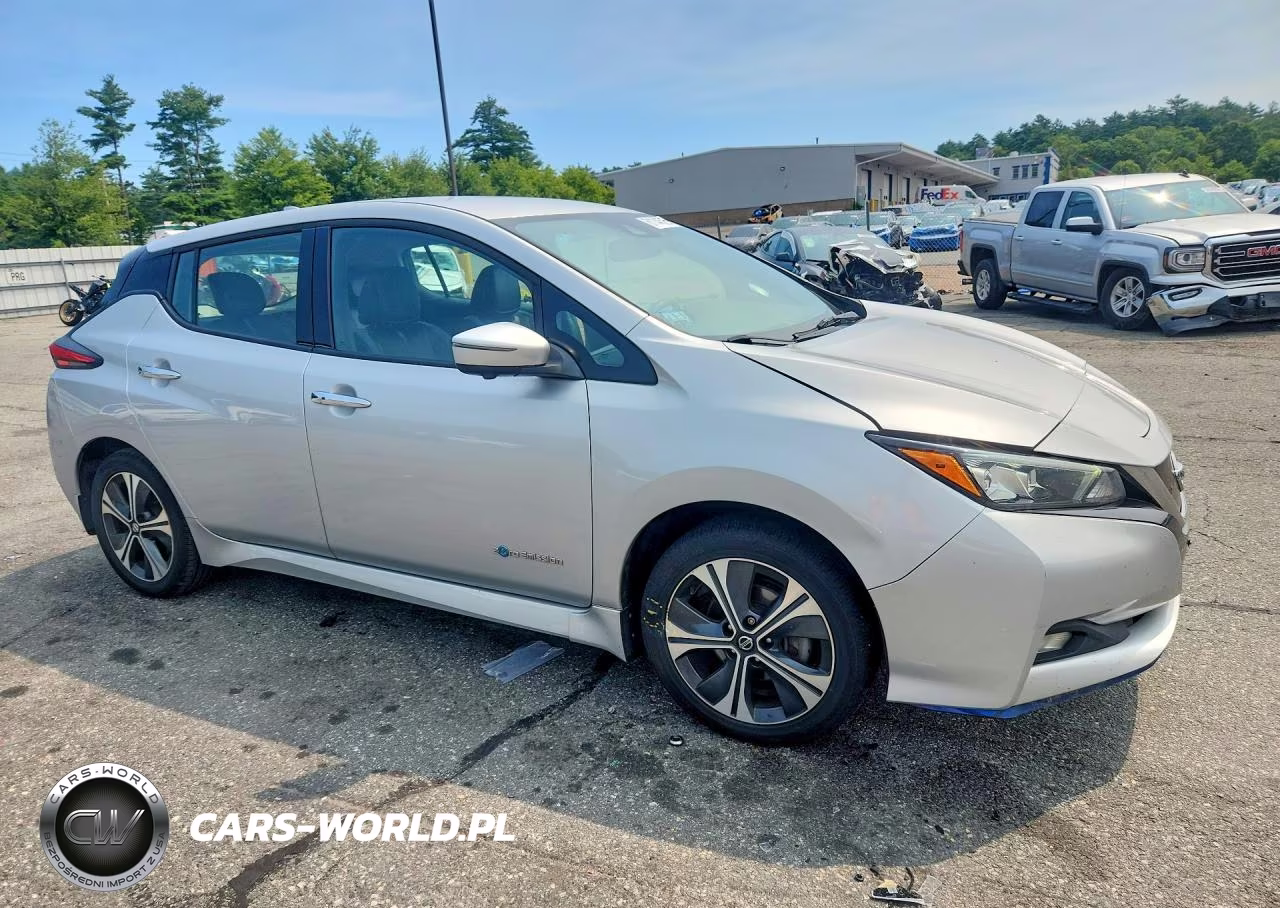 2019 Nissan Leaf Sl Plus VIN:1N4BZ1CP8KC320817 - 4