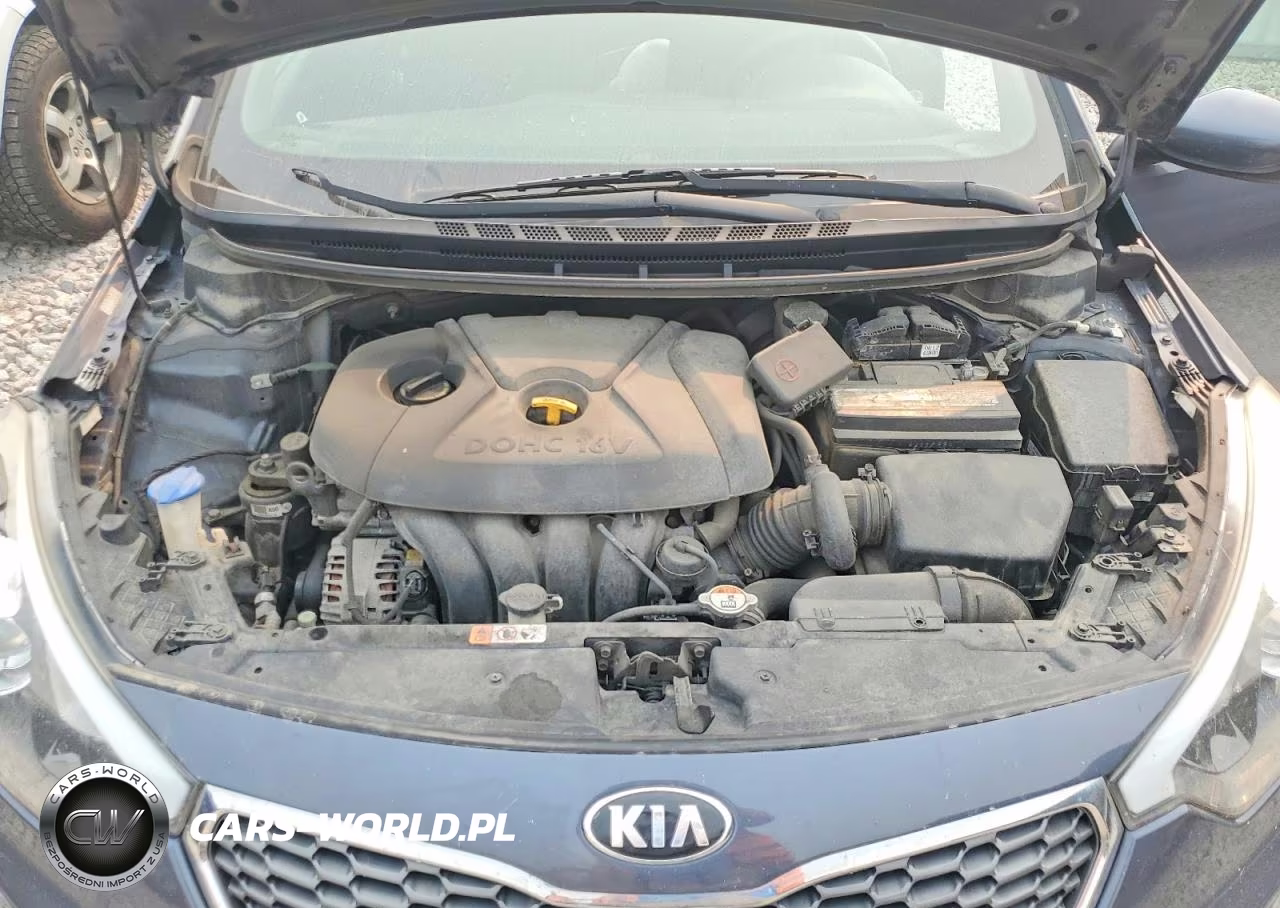 2016 Kia Forte Lx VIN:KNAFK4A67G5617209 - 11