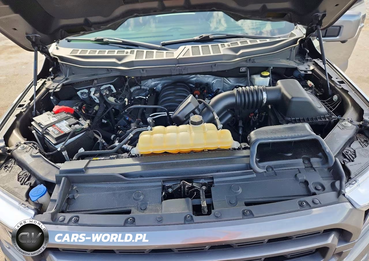 2021 Ford F150 Supercrew VIN:1FTFW1E57MFA09770 - 11
