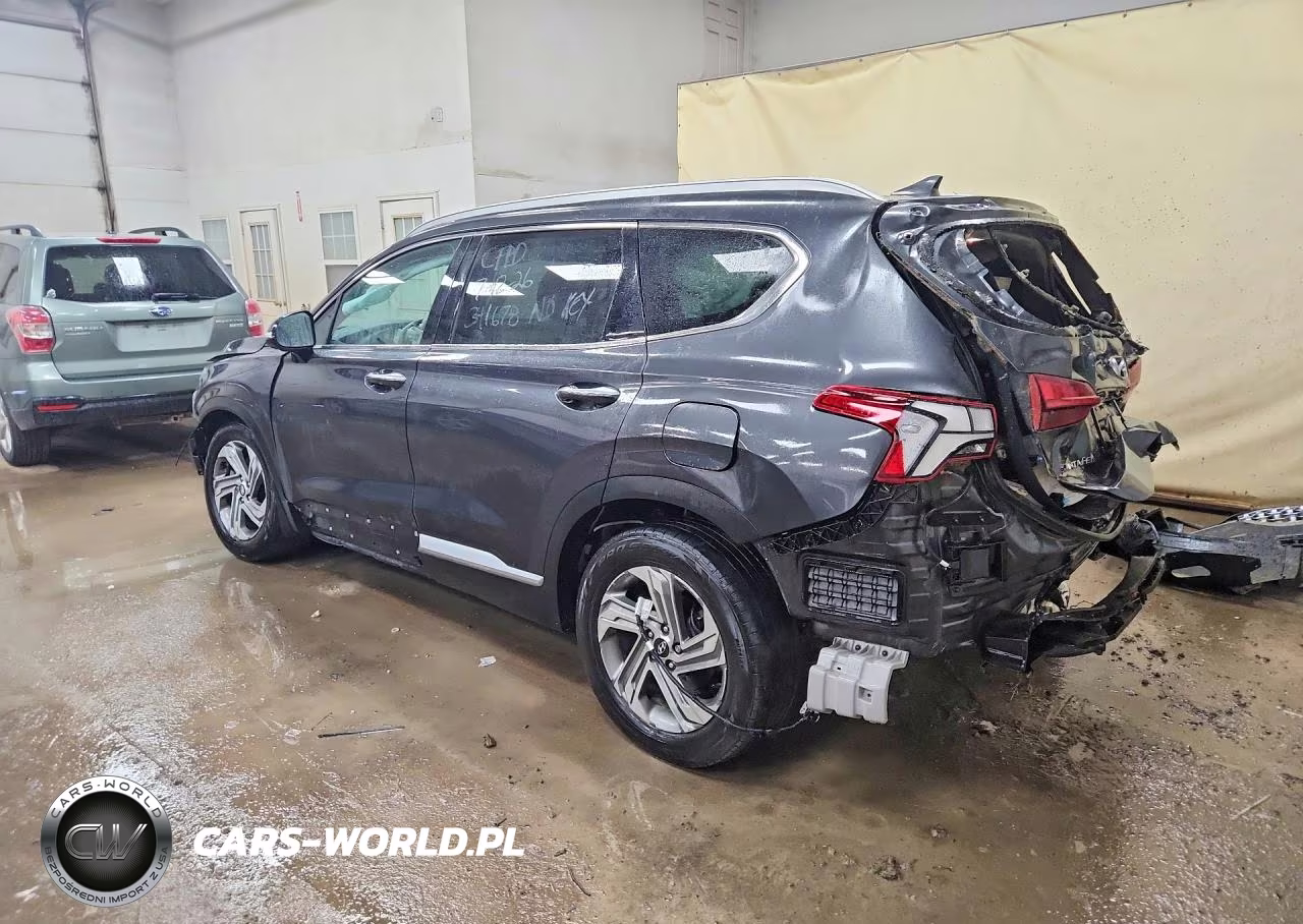 2021 Hyundai Santa Fe Sel VIN:5NMS6DAJ5MH341678 - 2