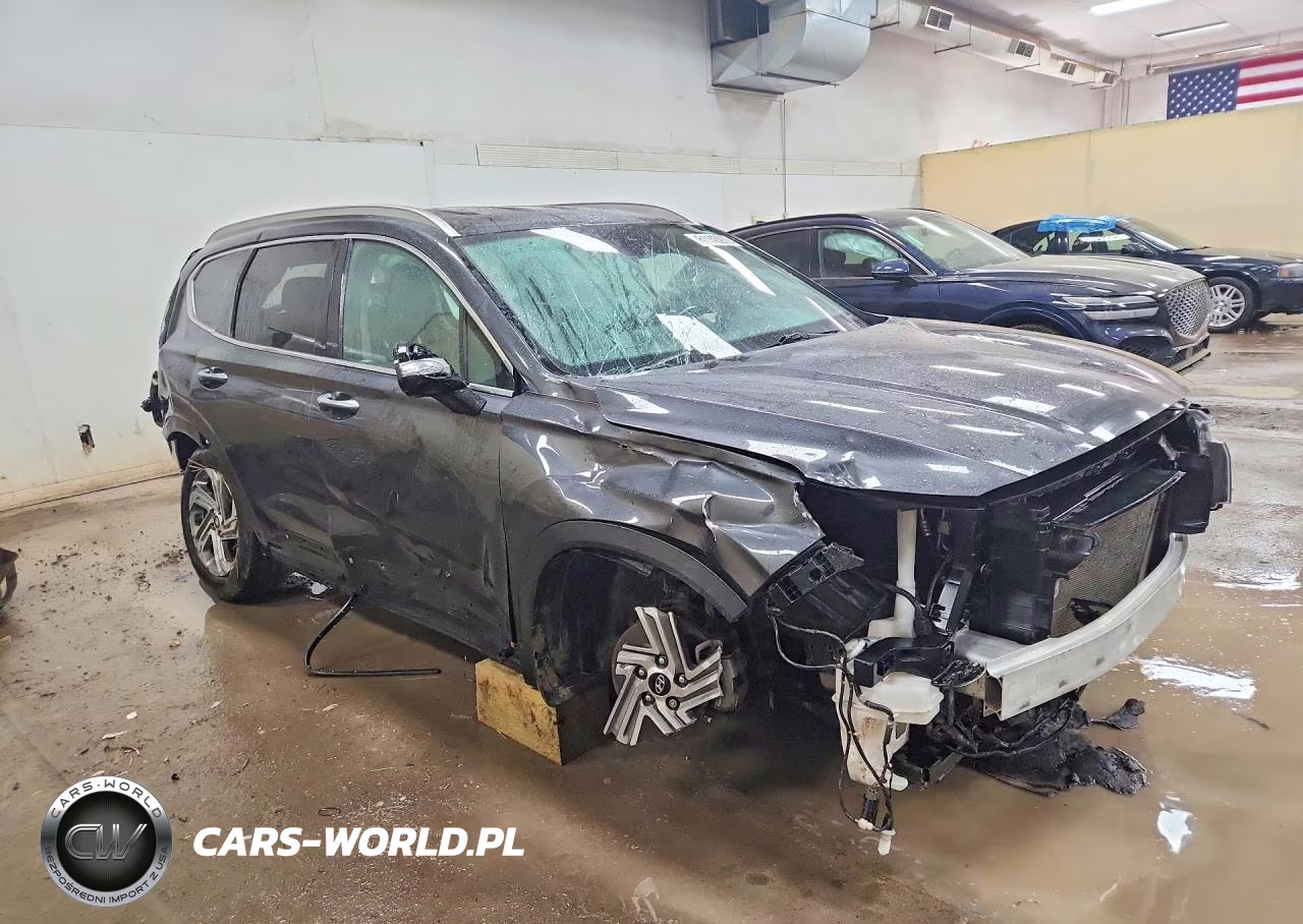 2021 Hyundai Santa Fe Sel VIN:5NMS6DAJ5MH341678 - 4