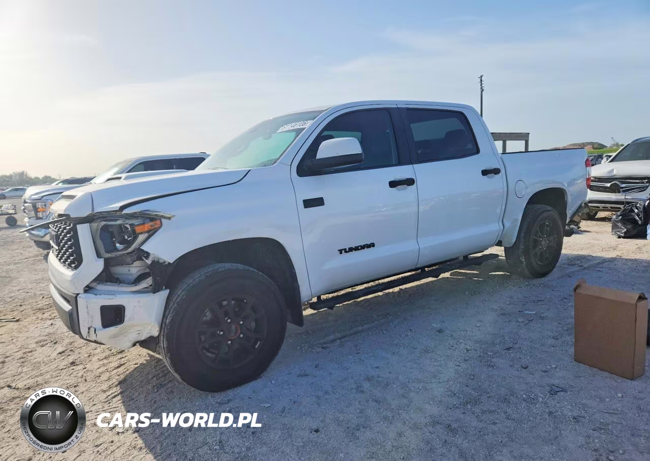 2019 Toyota Tundra Trd Pro