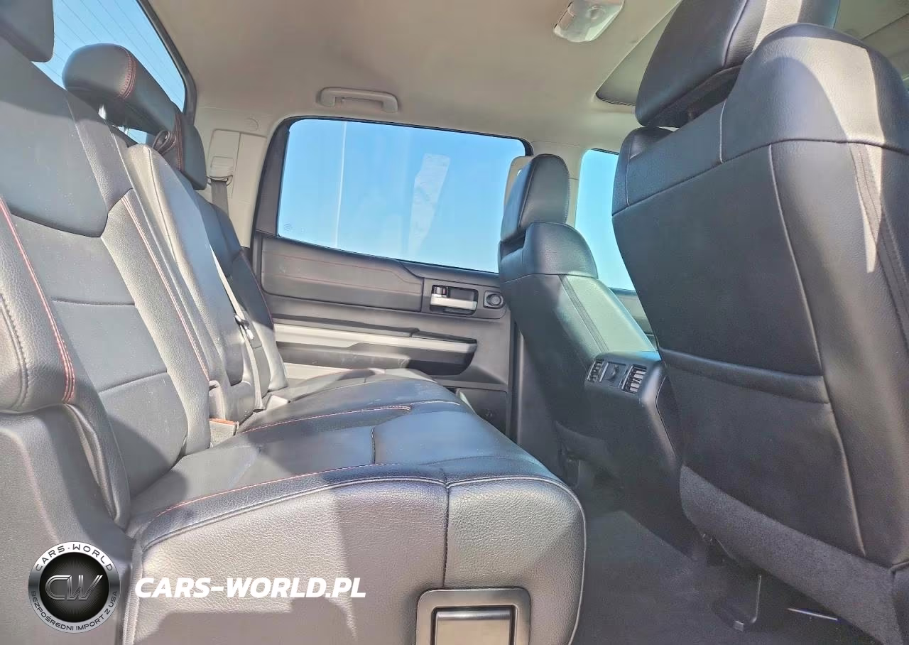 2019 Toyota Tundra Trd Pro VIN:5TFDY5F11KX812313 - 10