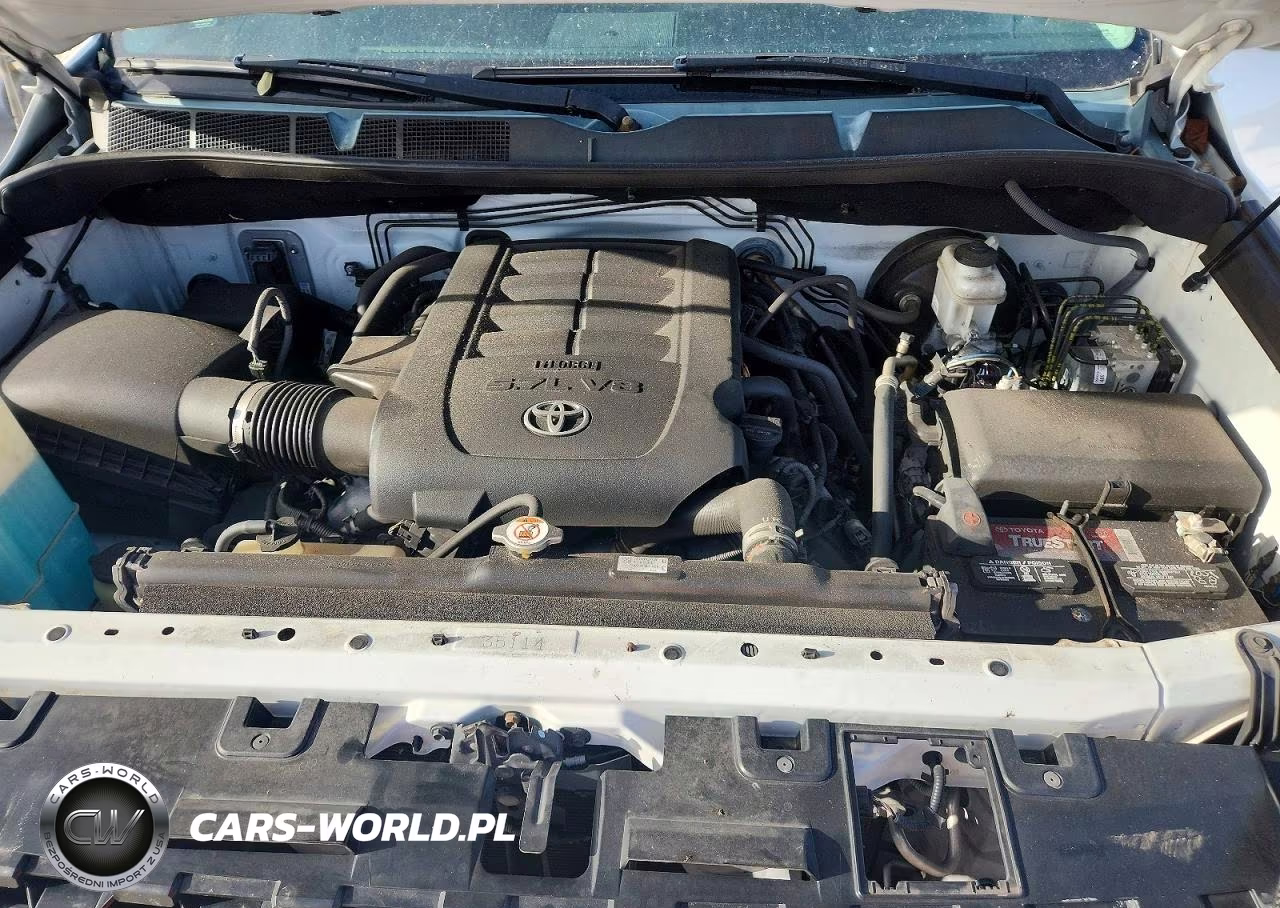 2019 Toyota Tundra Trd Pro VIN:5TFDY5F11KX812313 - 11