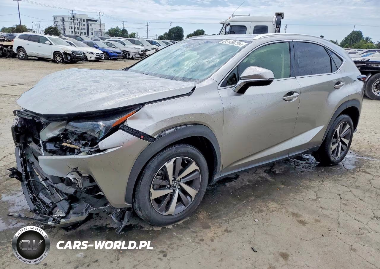 2019 Lexus Nx 300 Base VIN:JTJYARBZ3K2116863 - 1