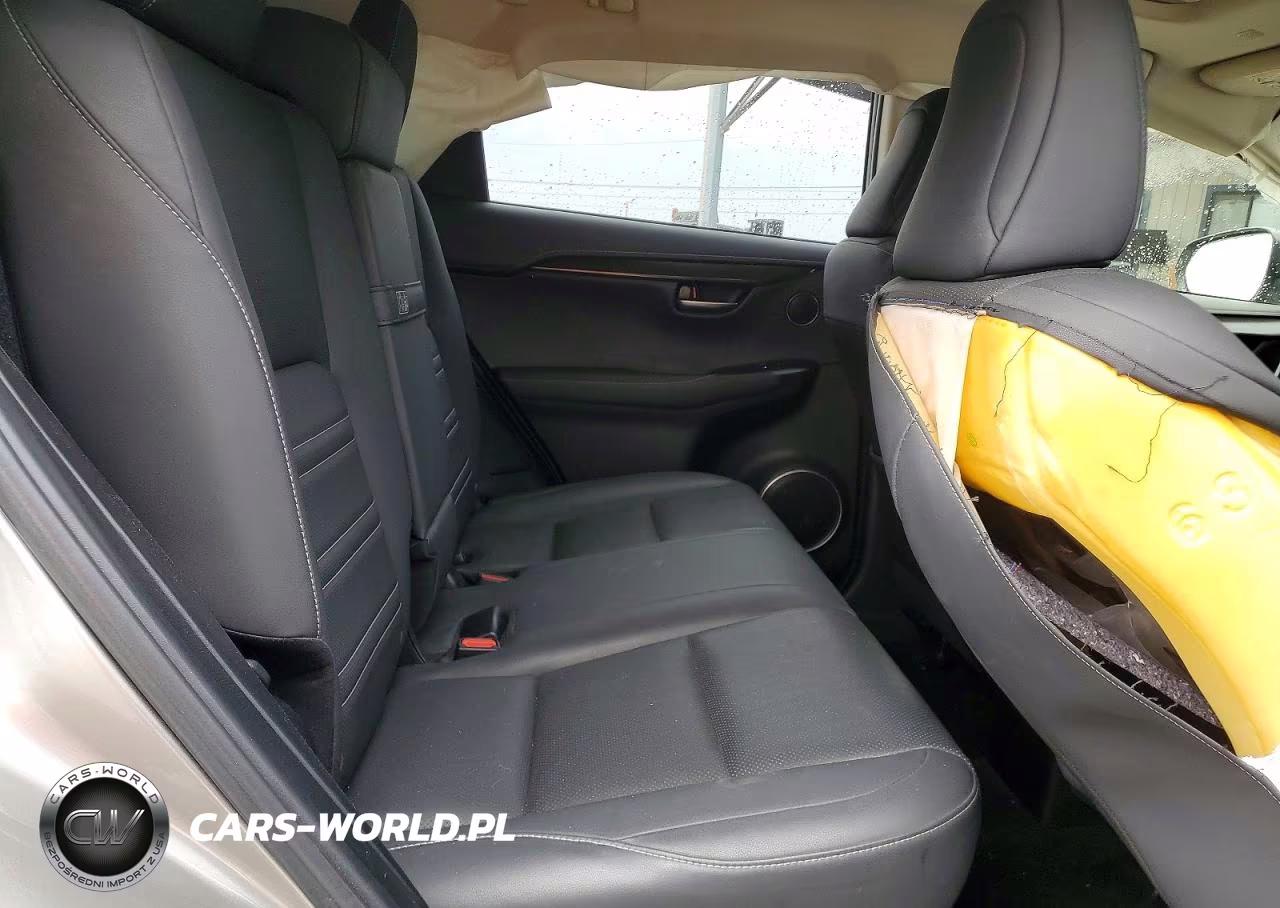 2019 Lexus Nx 300 Base VIN:JTJYARBZ3K2116863 - 11