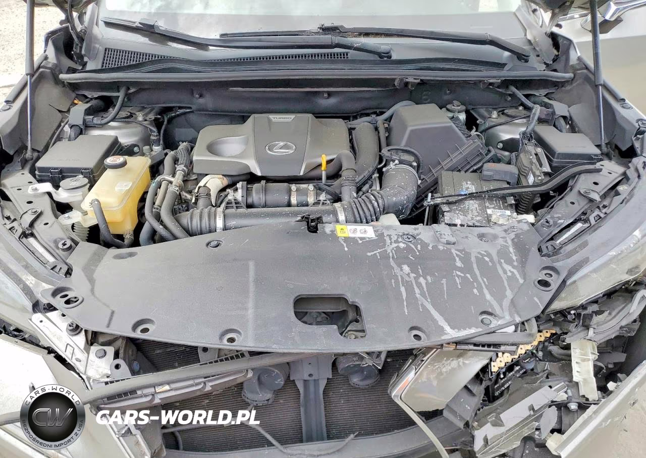 2019 Lexus Nx 300 Base VIN:JTJYARBZ3K2116863 - 12