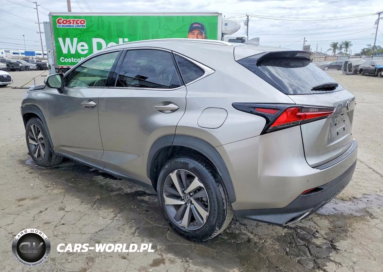 2019 Lexus Nx 300 Base VIN:JTJYARBZ3K2116863 - 2