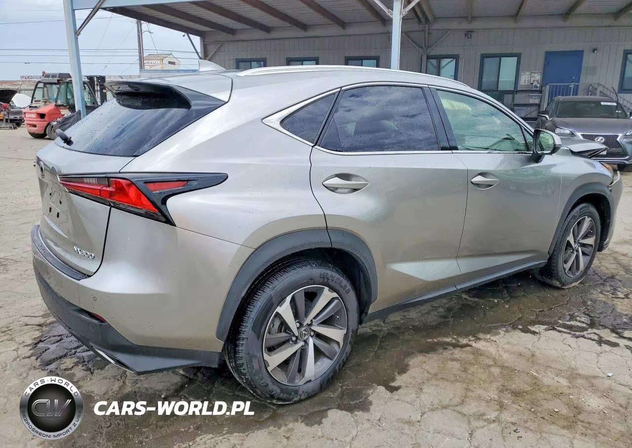 2019 Lexus Nx 300 Base VIN:JTJYARBZ3K2116863 - 3