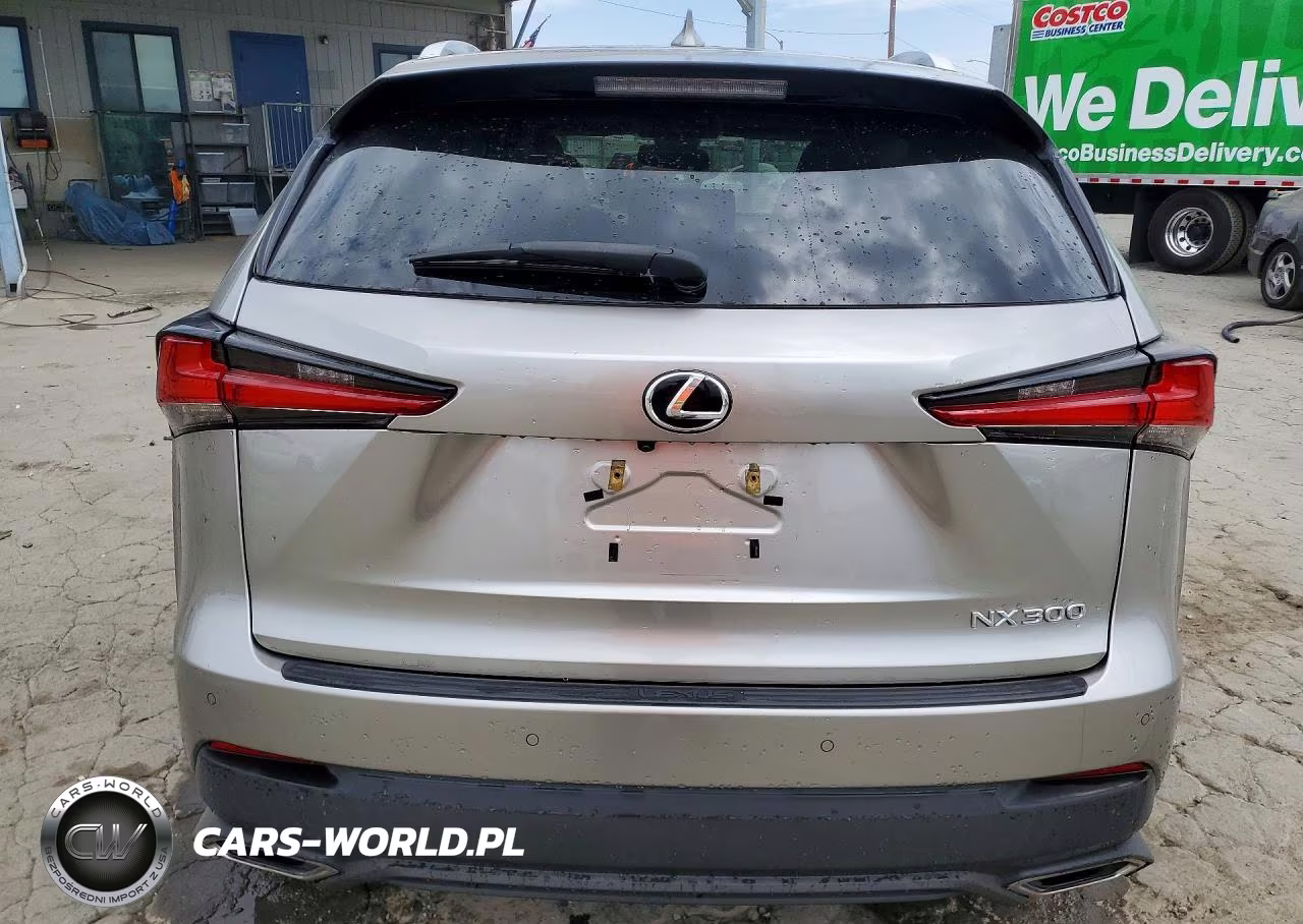 2019 Lexus Nx 300 Base VIN:JTJYARBZ3K2116863 - 6