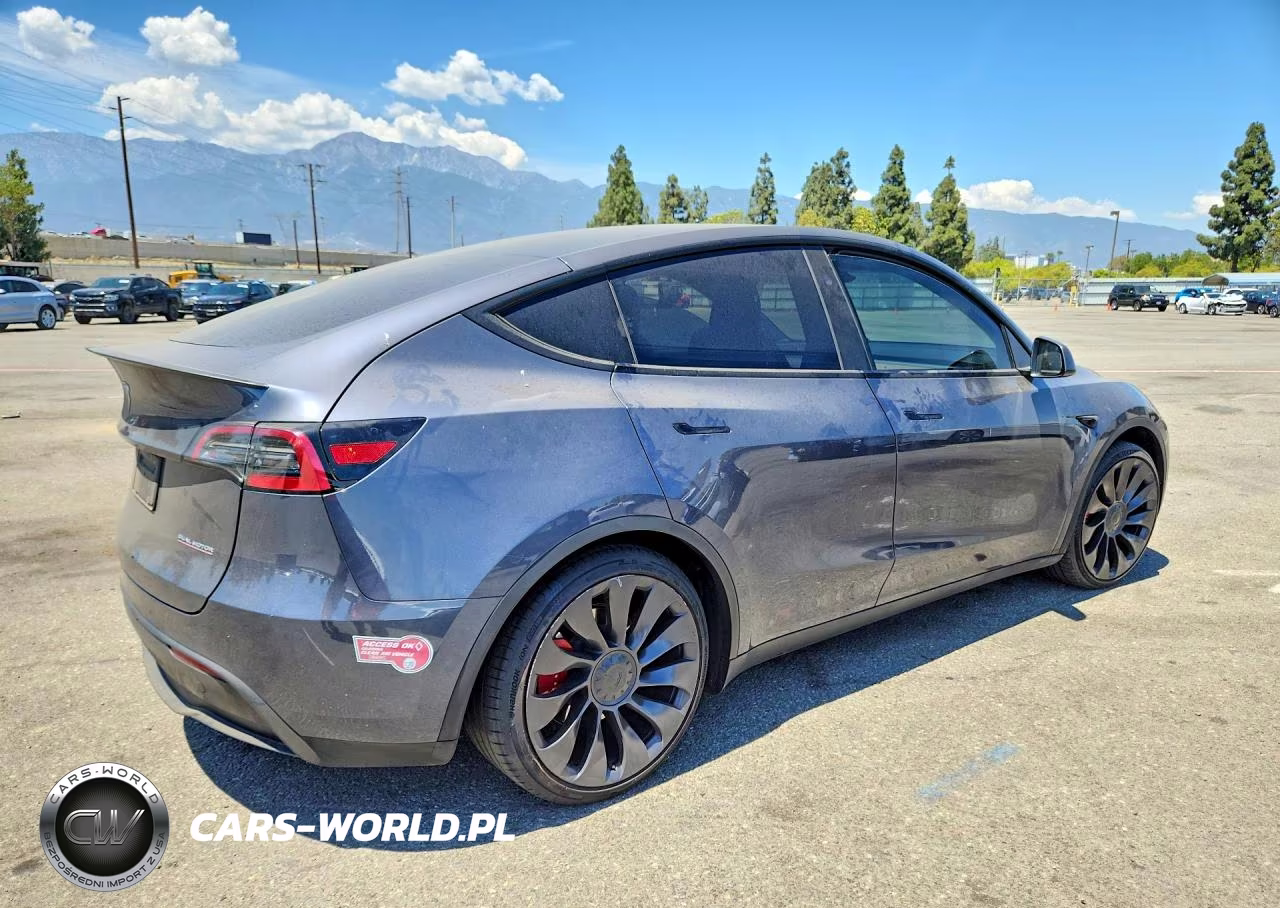 2023 Tesla Model Y VIN:7SAYGDEF5PF920272 - 3