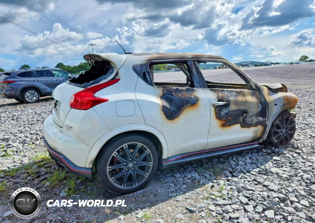2014 Nissan Juke Nismo Rs VIN:JN8DF5MV7ET150202 - 3