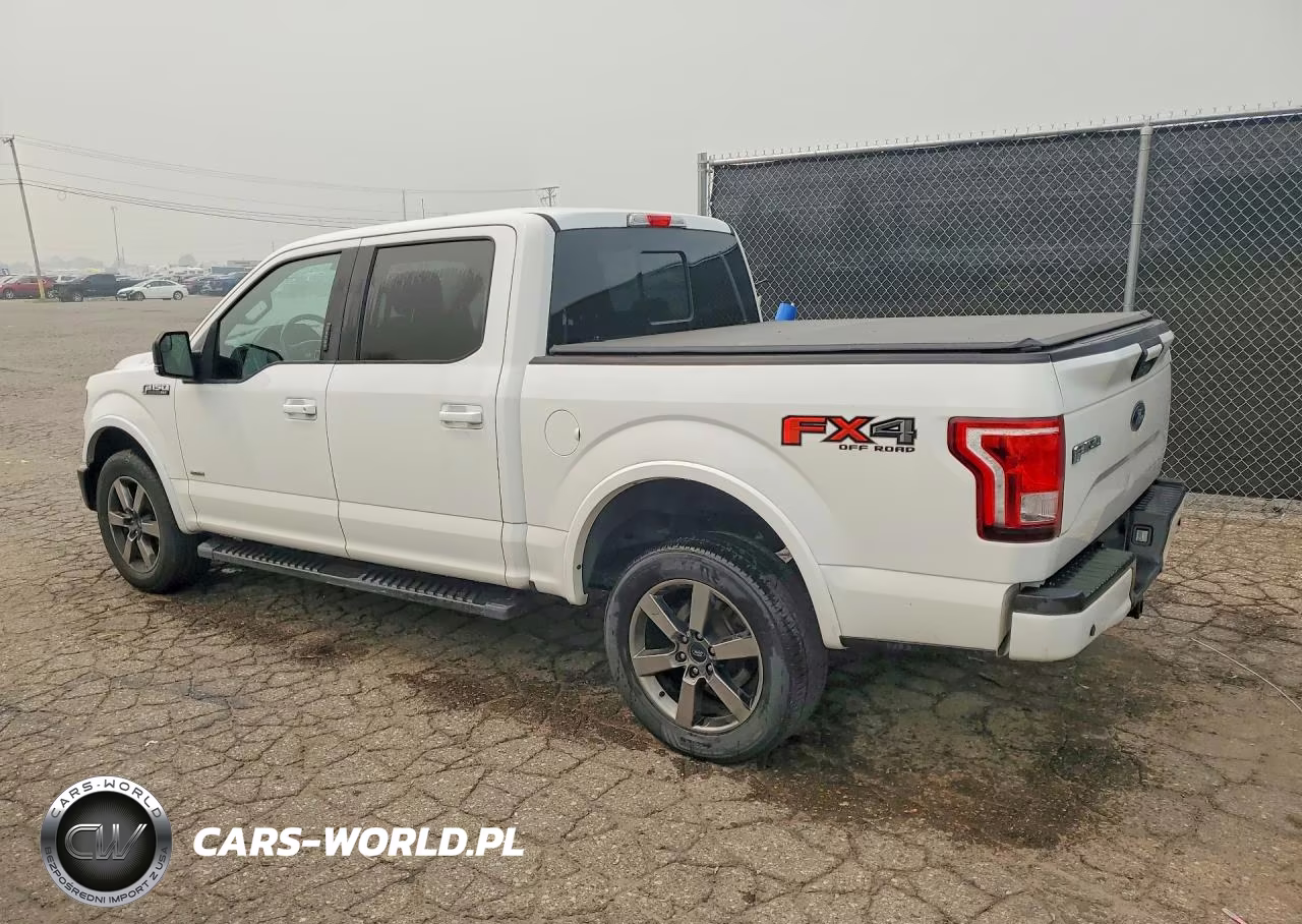 2017 Ford F150 Supercrew VIN:1FTEW1EG4HFB95299 - 2