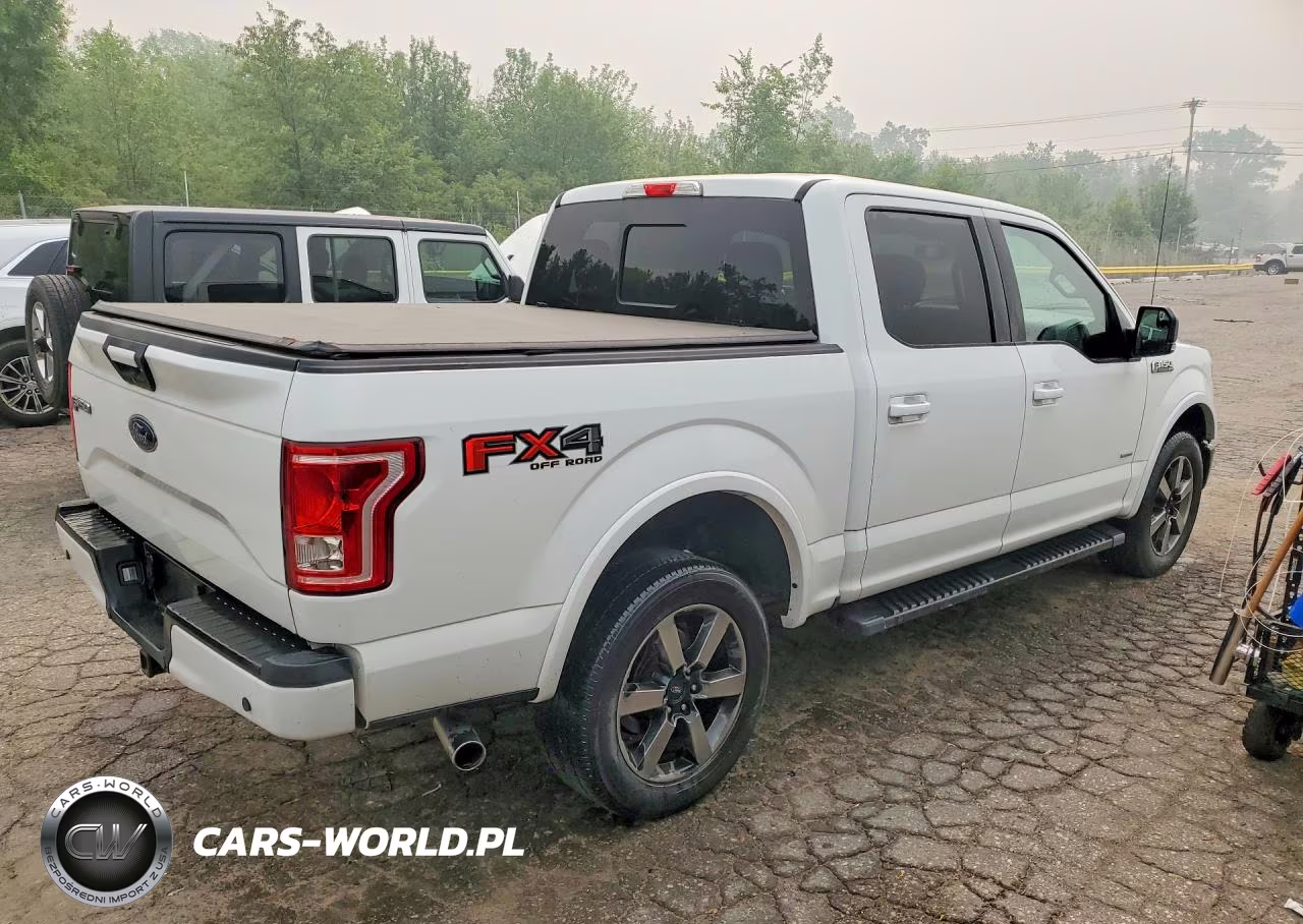 2017 Ford F150 Supercrew VIN:1FTEW1EG4HFB95299 - 3