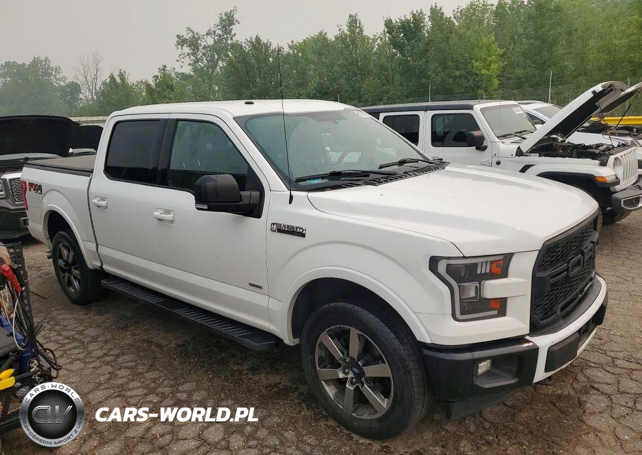 2017 Ford F150 Supercrew VIN:1FTEW1EG4HFB95299 - 4