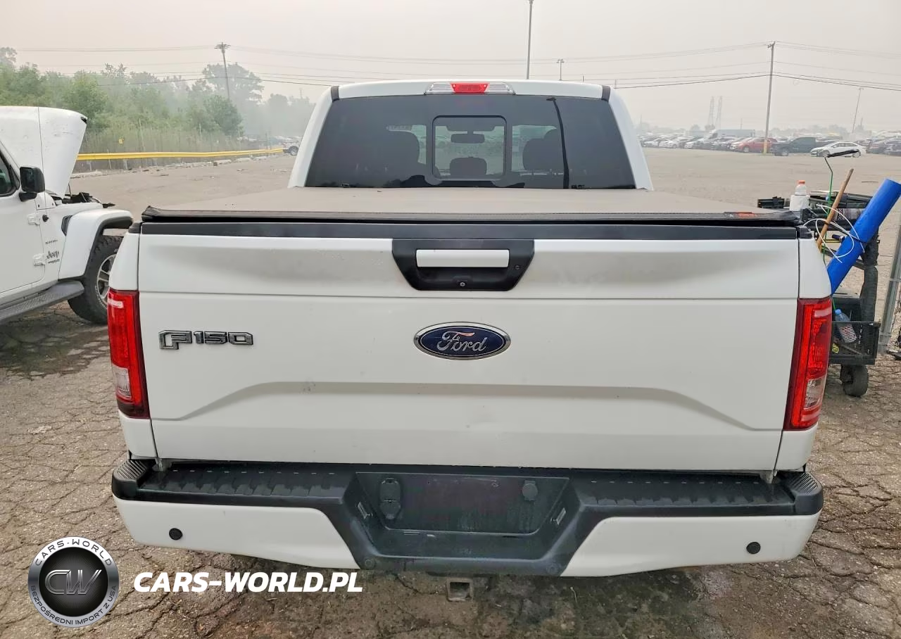 2017 Ford F150 Supercrew VIN:1FTEW1EG4HFB95299 - 6