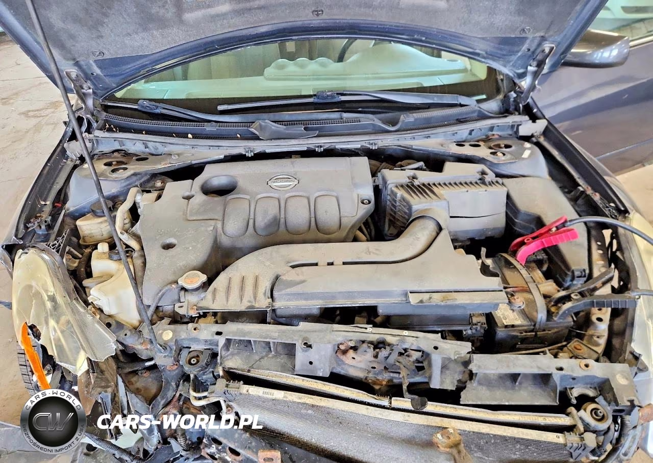 2010 Nissan Altima 2.5 VIN:1N4AL2AP0AN441012 - 11