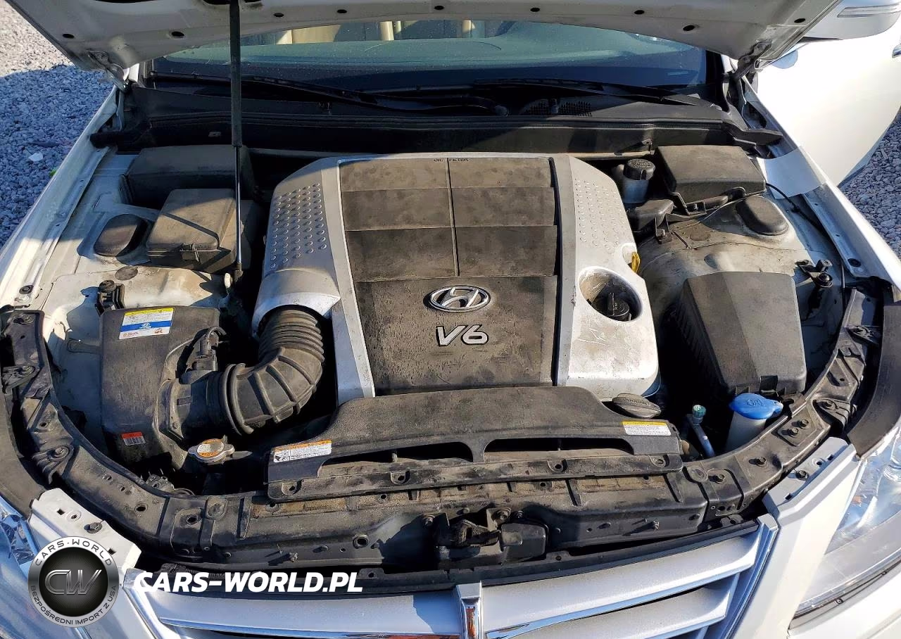 2011 Hyundai Genesis 3.8L VIN:KMHGC4DE6BU123084 - 11