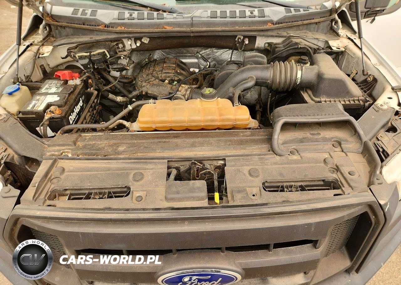 2015 Ford F150 Supercrew VIN:1FTEW1E89FFB95725 - 11