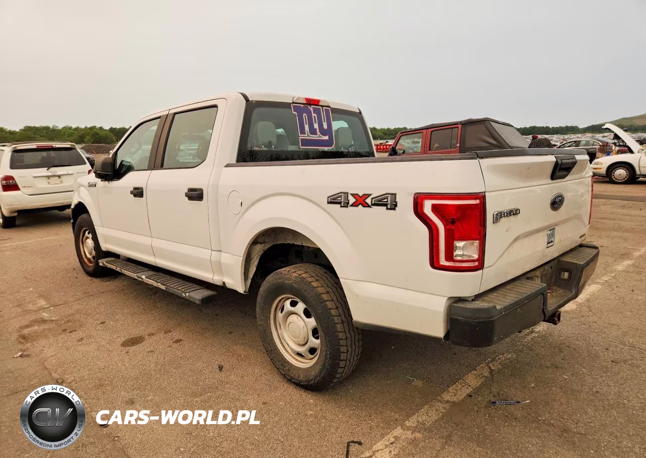 2015 Ford F150 Supercrew VIN:1FTEW1E89FFB95725 - 2