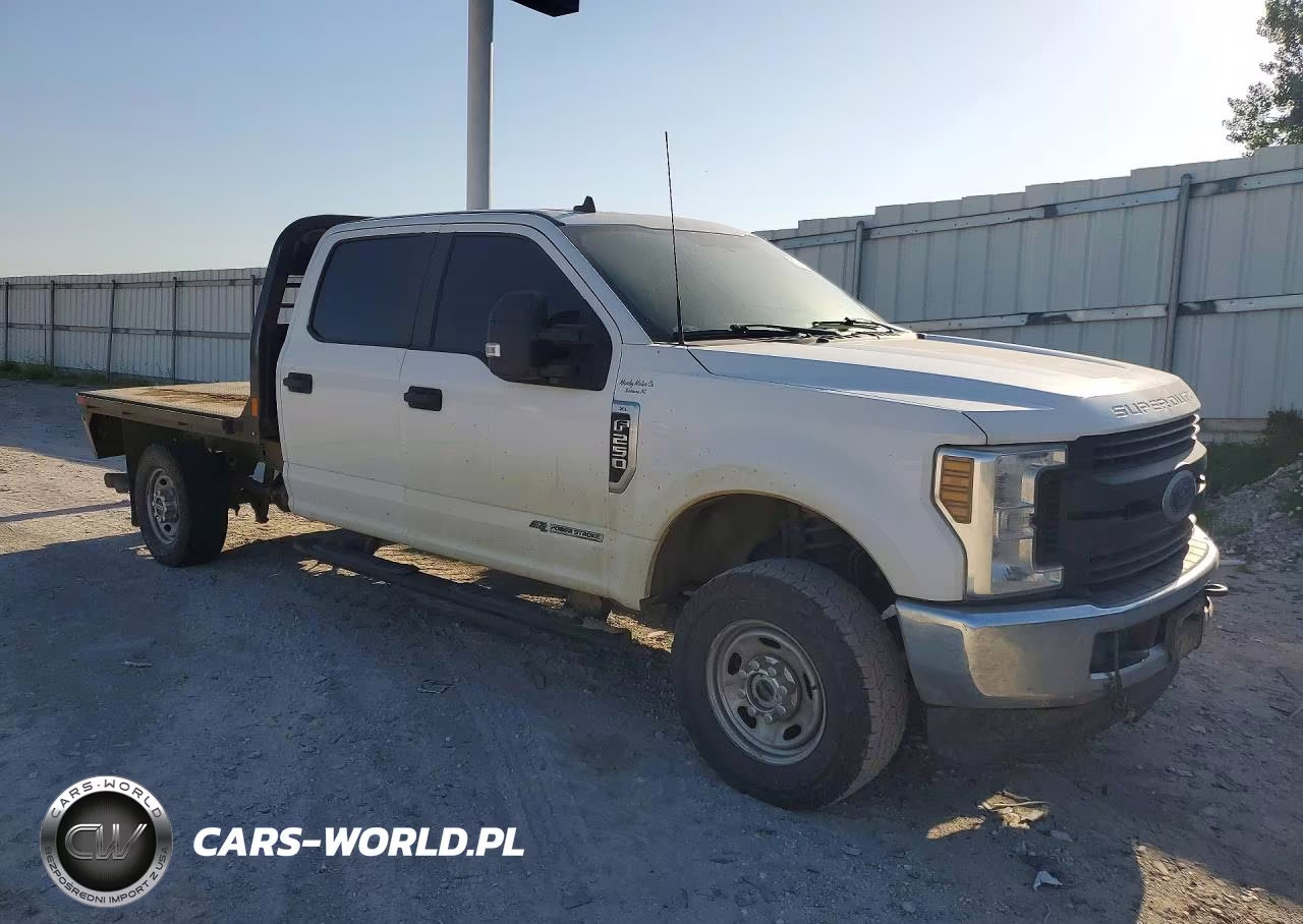 2019 Ford F250 Super Duty VIN:1FD7W2BT6KEE66890 - 4