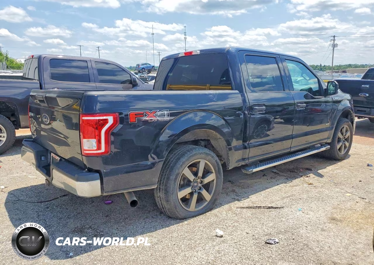 2016 Ford F150 Supercrew VIN:1FTEW1EP9GFA38592 - 3
