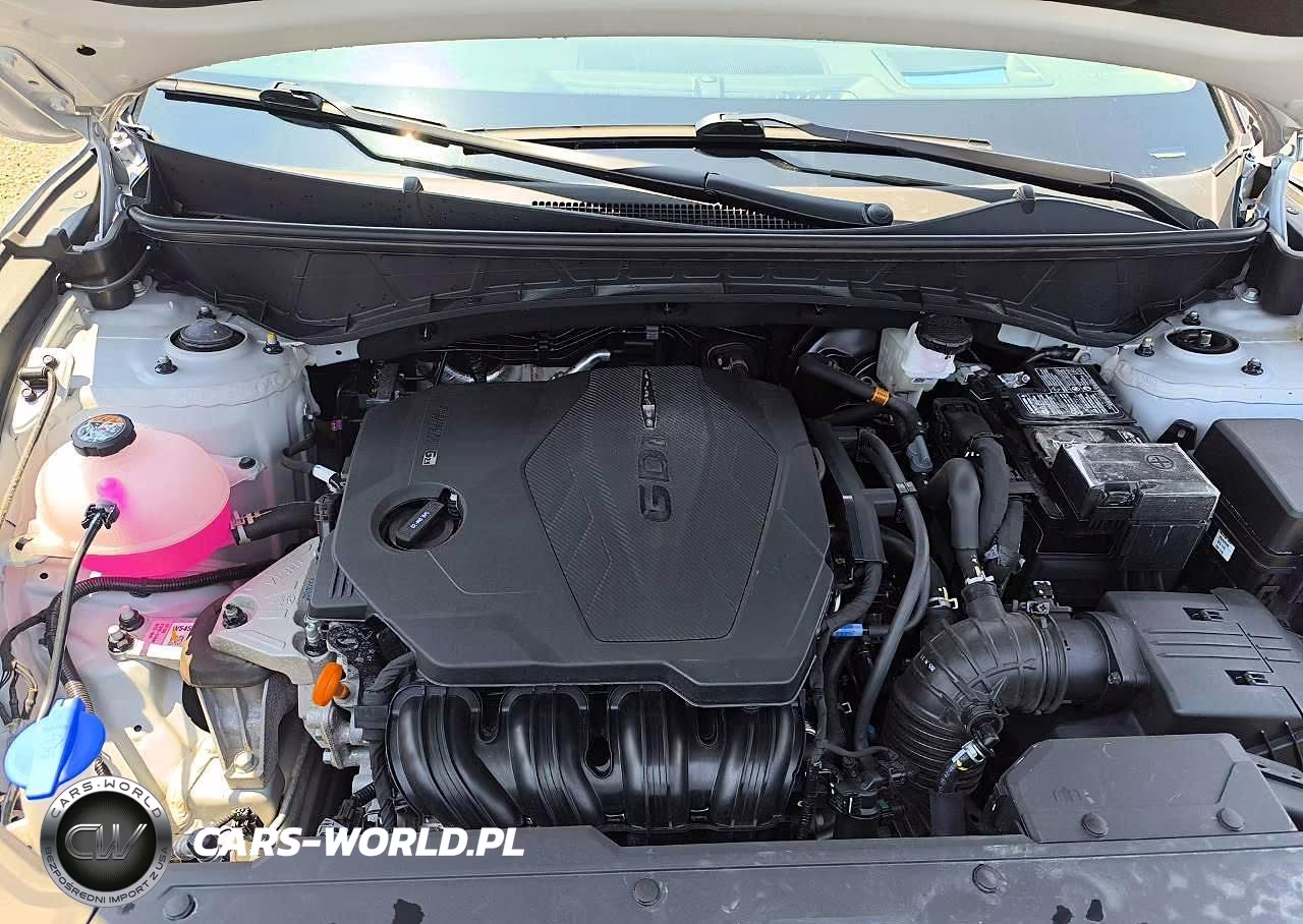 2025 Hyundai Tucson Limited VIN:5NMJECDE5SH606510 - 12