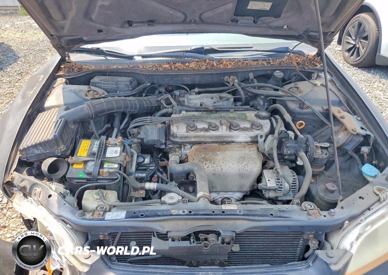 2000 Honda Accord Lx VIN:1HGCG6651YA108262 - 11