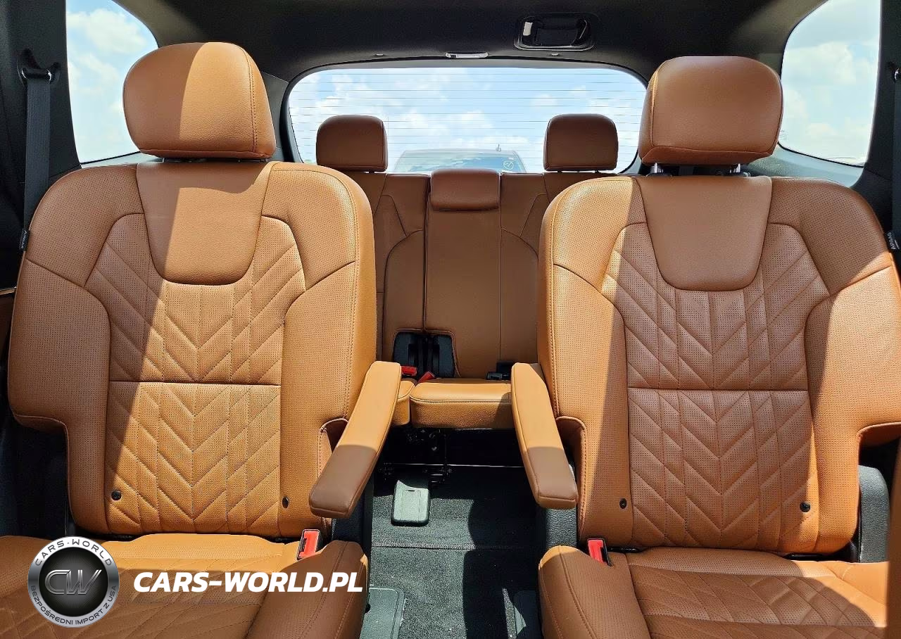 2023 Kia Telluride Sx X-Pro VIN:5XYP5DGC7PG369451 - 10