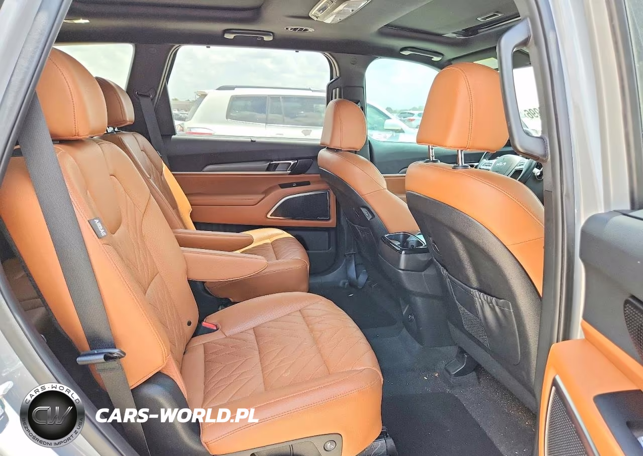 2023 Kia Telluride Sx X-Pro VIN:5XYP5DGC7PG369451 - 11