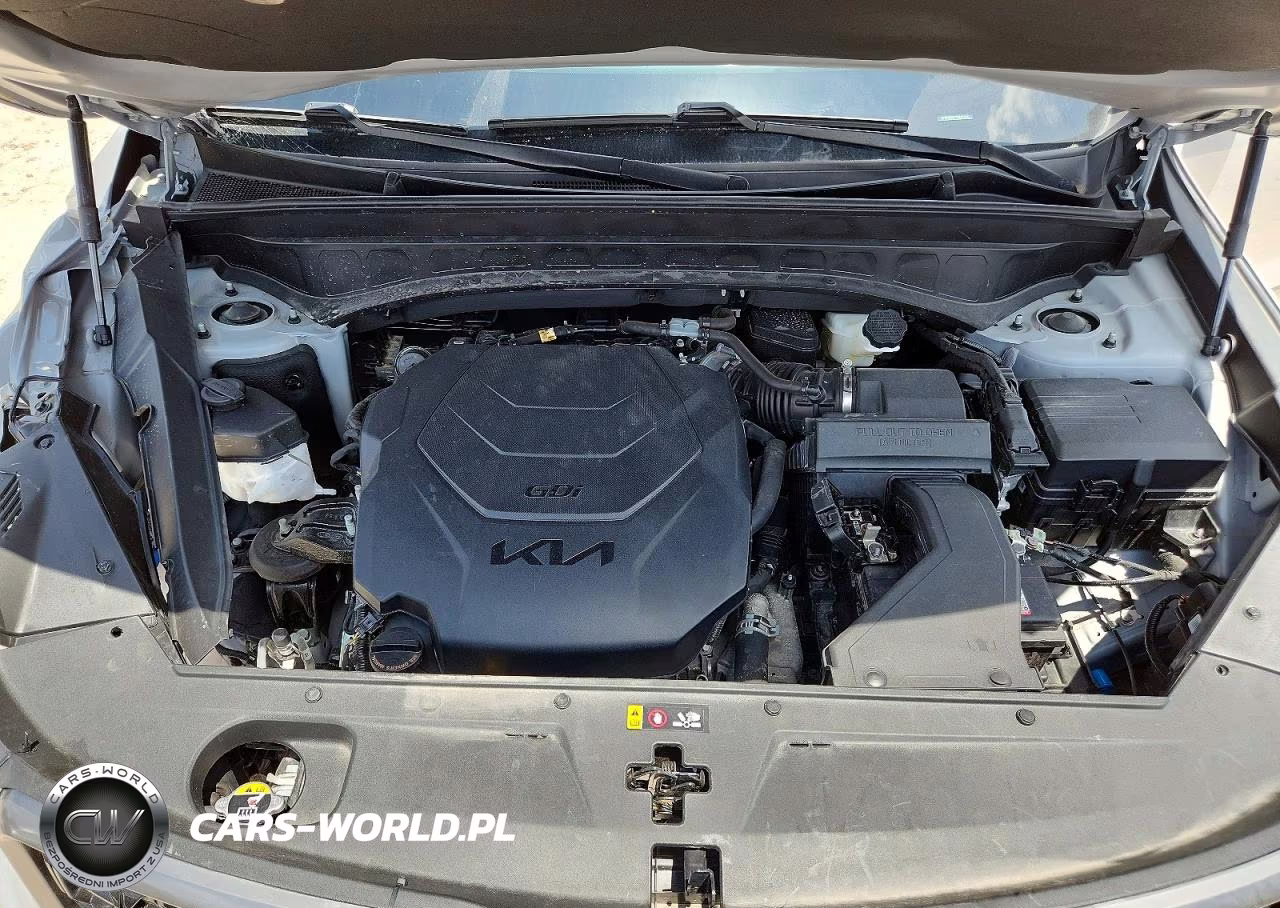 2023 Kia Telluride Sx X-Pro VIN:5XYP5DGC7PG369451 - 12