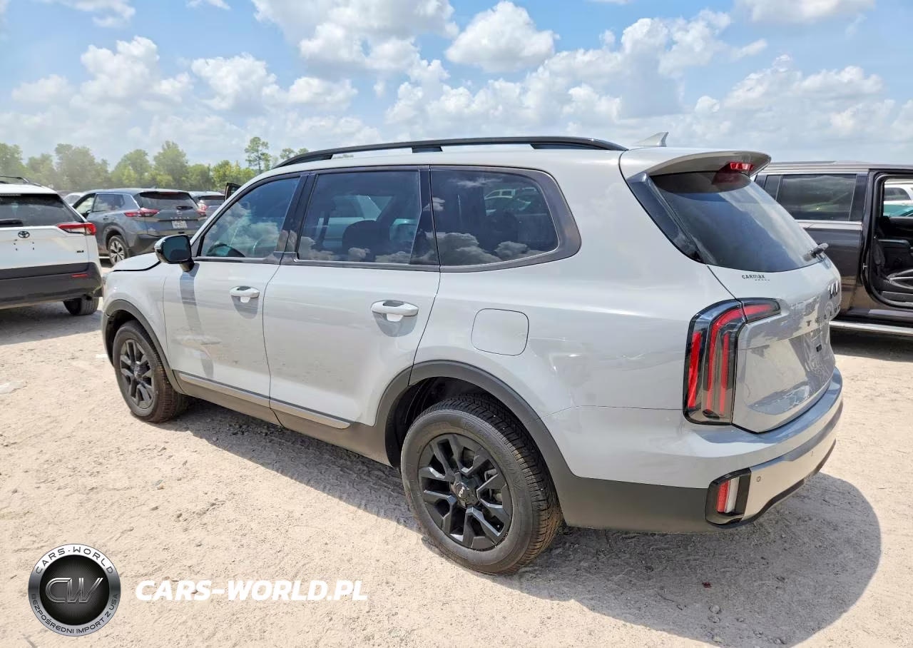 2023 Kia Telluride Sx X-Pro VIN:5XYP5DGC7PG369451 - 2